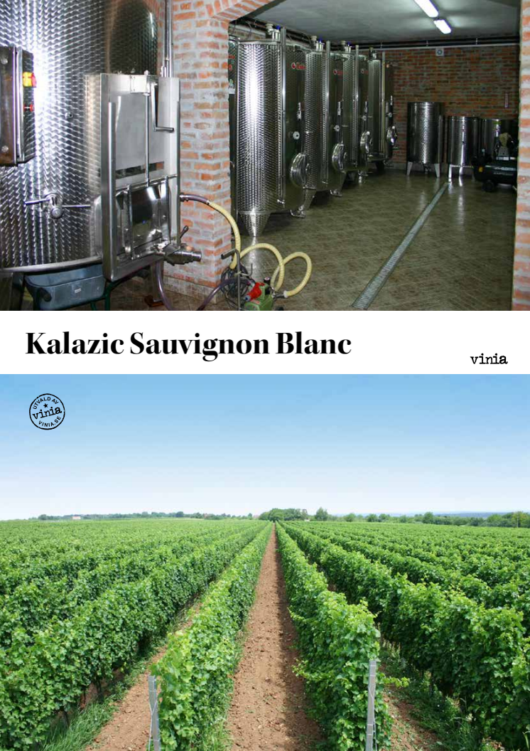 Artikel Kalazic Sauvignon Blanc - septemberlansering 2015