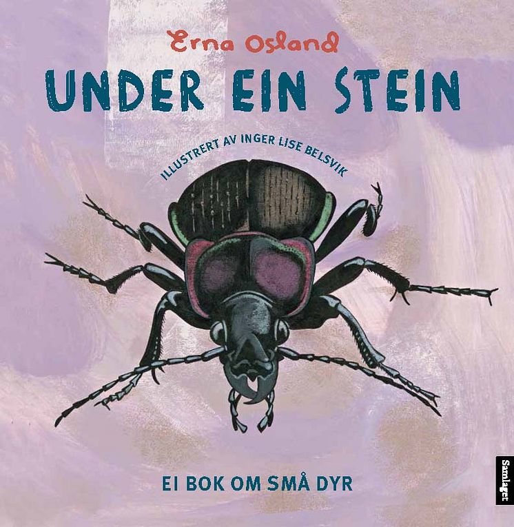 omslag, "Under ein stein"