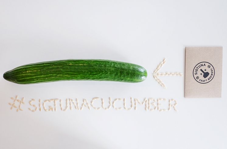 #sigtunacucumber