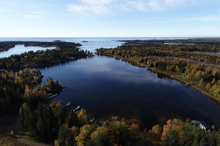 KvarkenFlada-Djupviken-AnniinaSaarinen-LstVästerbotten.JPG