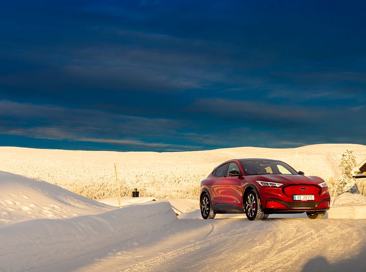 Ford Mustang Mach-E Vinter 2022