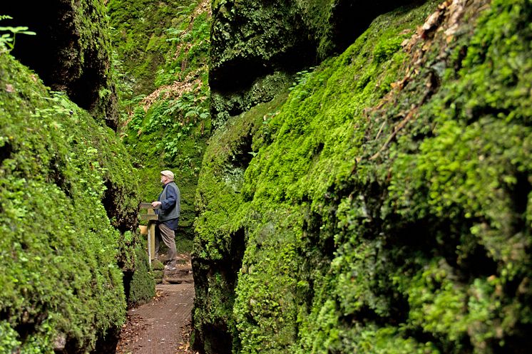 Eisenach: Thüringer Wald Drachenschlucht