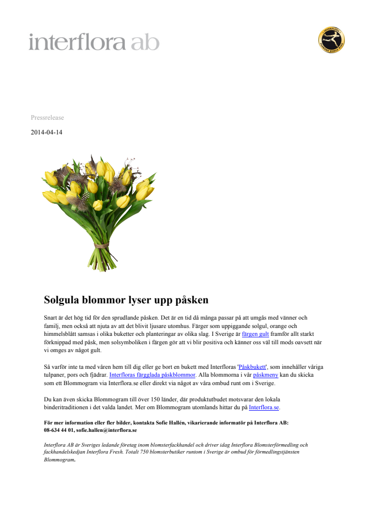 Uppiggande gula blommor förgyller påsken