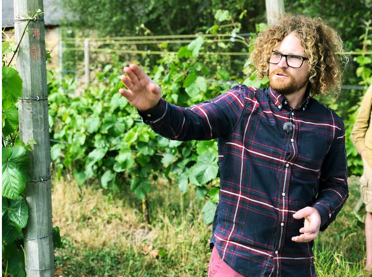 Vinbonden Victor Dahl på Kullabergs vingård tror på samarbete för att lyfta viner från området. Foto: Anna Lind Lewin. 