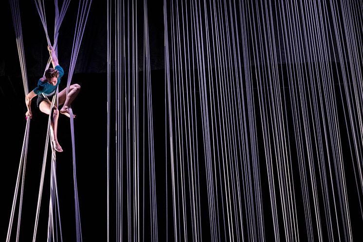 Ropewall - 1088-