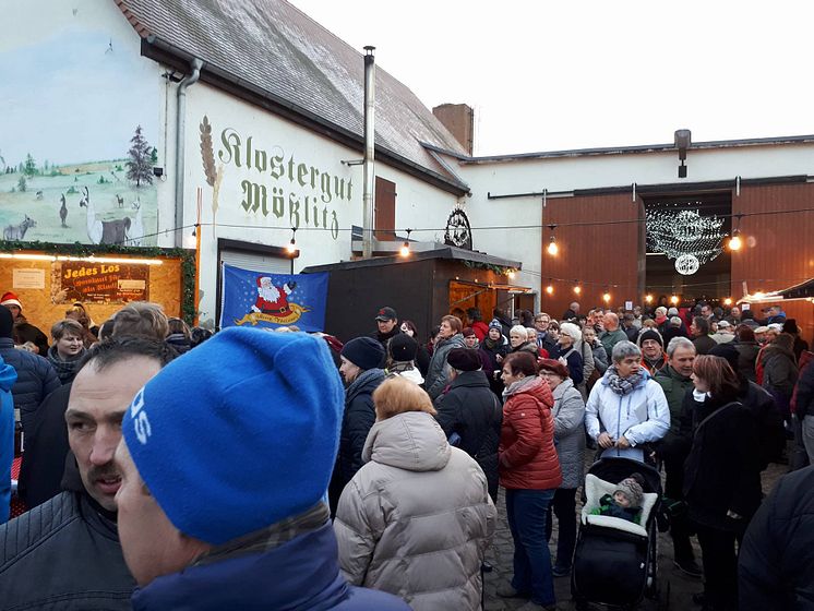 Für ein starkes Bärenherz: Klostergut Mößlitz richtet Weihnachten im Stall aus