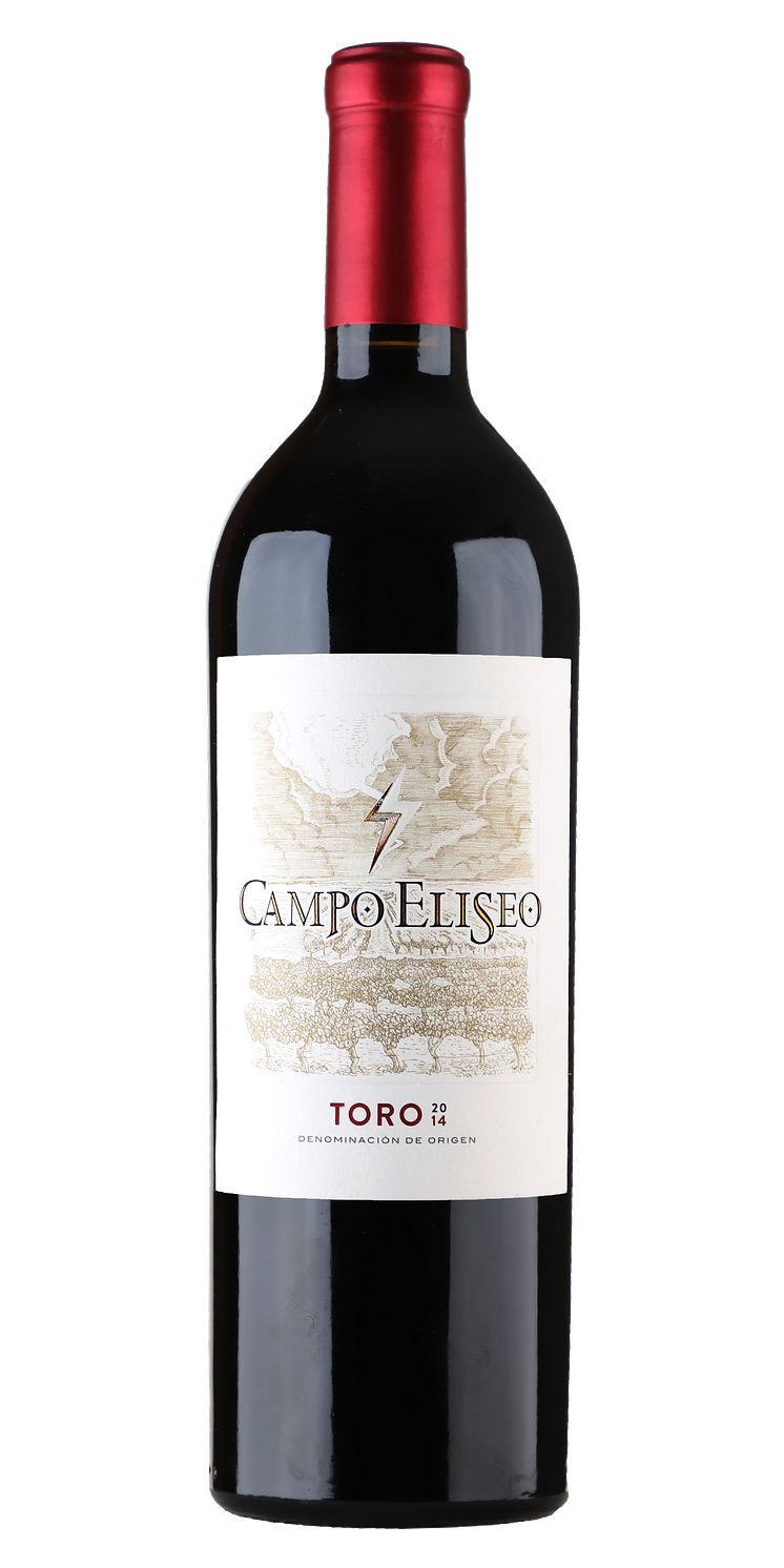 Campo_Eliseo_Toro