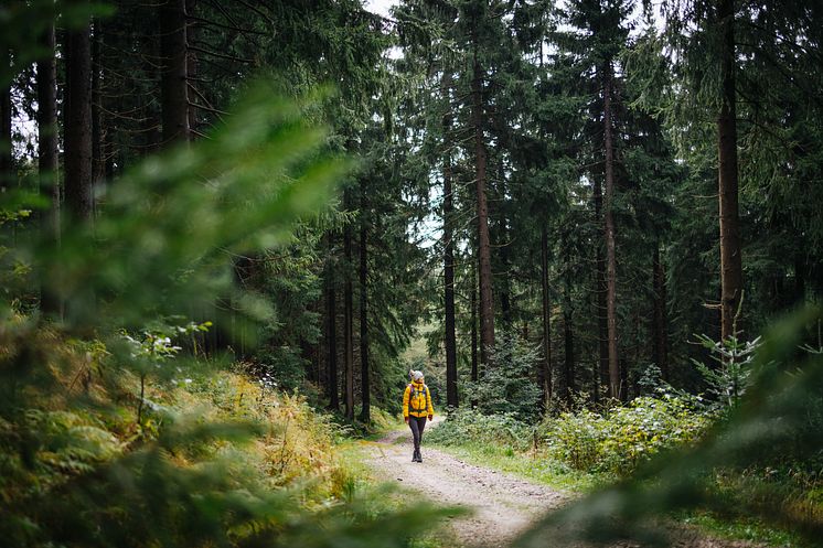 Unterwegs auf dem Kammweg_Foto TVE_Franziska Consolati (2).jpg