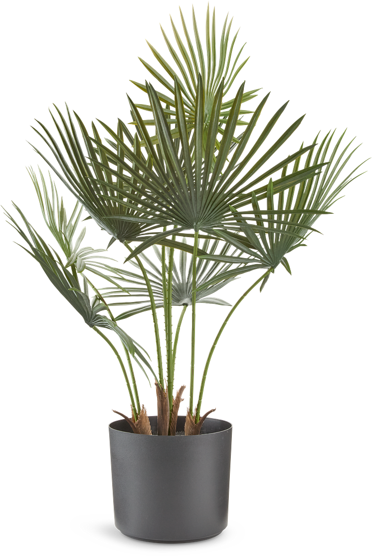 Kunstig plante JAKOB B60xL45xH73cm (199 DKK)