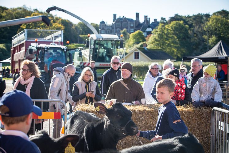 Skördefest på Tjolöholms Slott