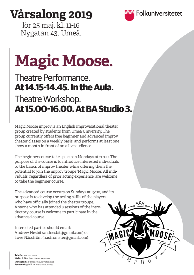 Presentation Magic Moose