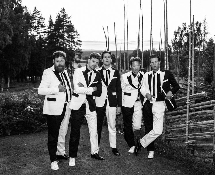 The Hives