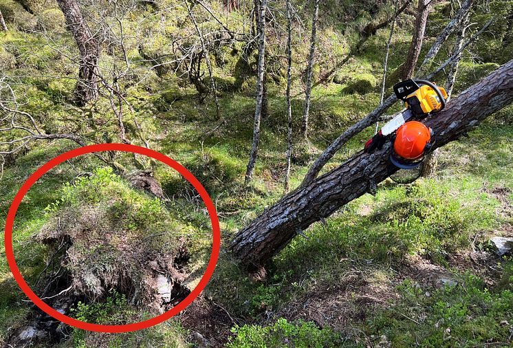 Roten kan være en dødsfelle_Foto Gjensidige..