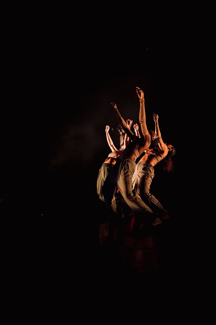 Company Nicolas Huchard - The barefoot diva