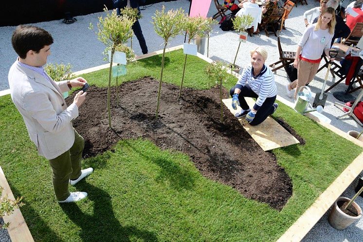 Hillevi Engström i Vi-skogens mini-Afrika i Almedalen