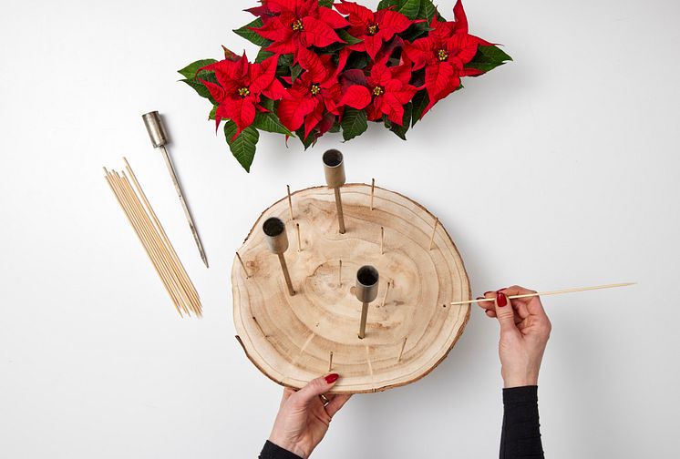 2023_julstjärna_DIY_Kokedama_Advent_03