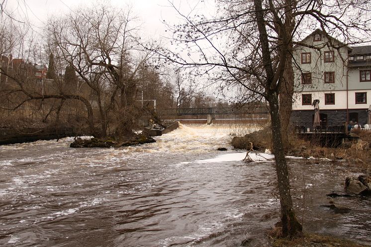 Dammen vid Falkenbergska kvarnen i Västerås där en faunapassage planeras.