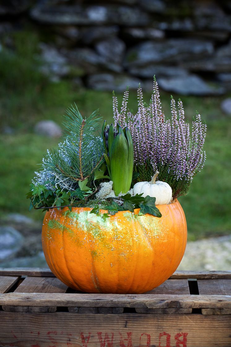 Pumpa dekorarad med blommor
