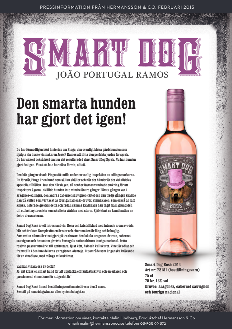 Den smarta hunden har gjort det igen! 