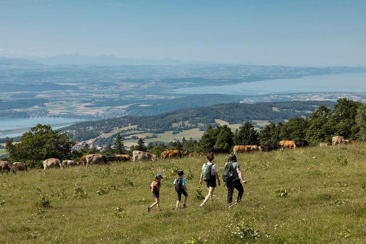 Spitsberg Hike