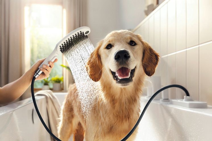 DogShower fra hansgrohe