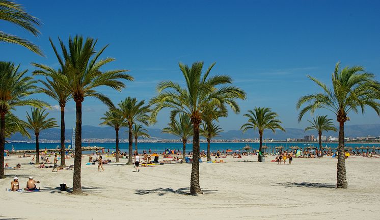 Mallorca, Spanien.