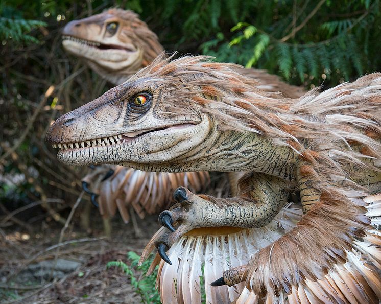 Knuthenborg Safaripark:  Dinosaurier-Wald - Velociraptor