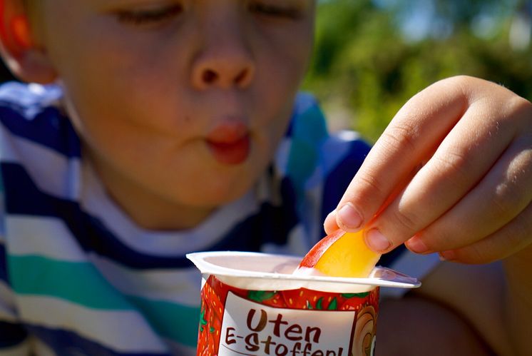 Frukt med Safari yoghurt som dip