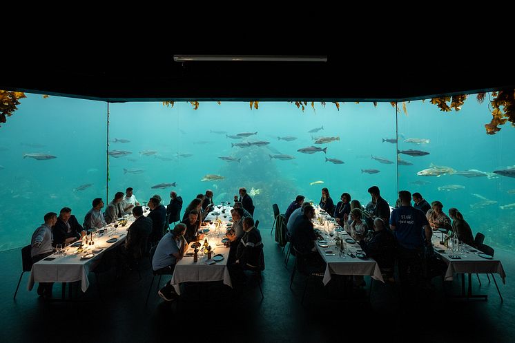 Welcome dinner hosted by the Norwegian Frozen at Sea at the Atlanterhavsparken Aquarium in Ålesund.jpg