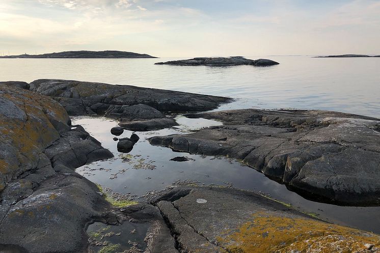 Västerhavet, klippor i skymningen