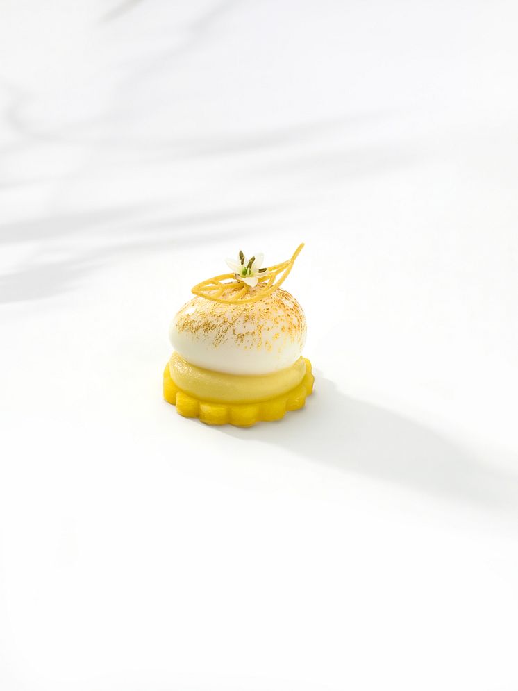 Bocuse D'or 2020 Europe Vaktelägg