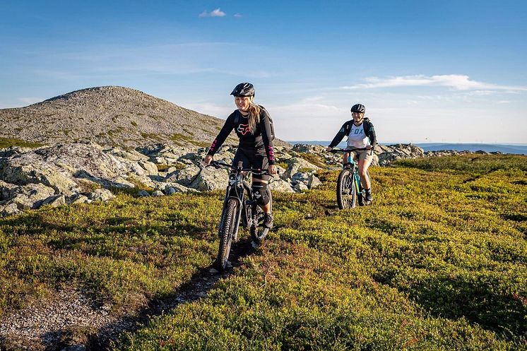 Cykling i fjeldene. 