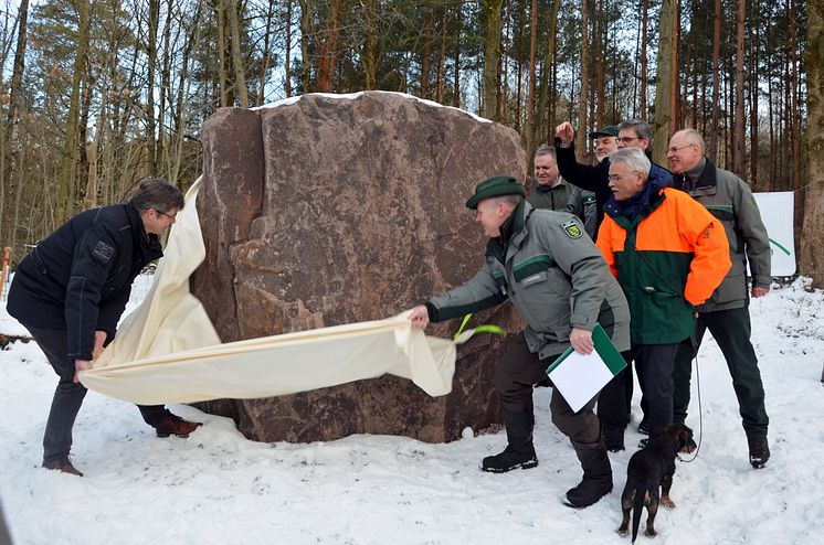 Die Enthüllung des 10,2 Tonnen schweren Porphyr-Gedenksteins  zum Waldgebiet des Jahres 2018 im Wermsdorfer Wald