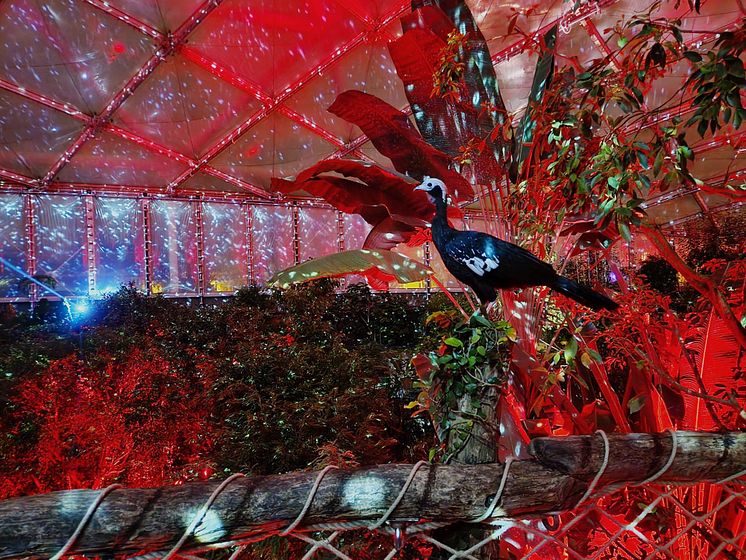 Das Magische Tropenleuchten kehrt zurück - Foto: Zoo Leipzig