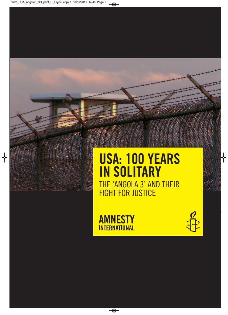 Amnesty report 2011