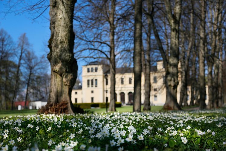 Vår i slottsparken