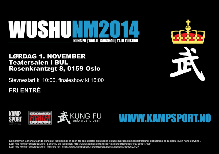 NM Wushu 2014 