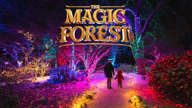 TheMagicForest2023_16_9