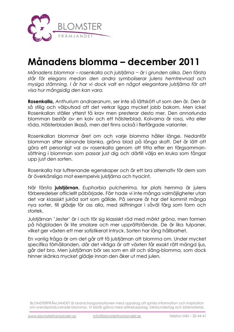 Månadens blomma - december 2011