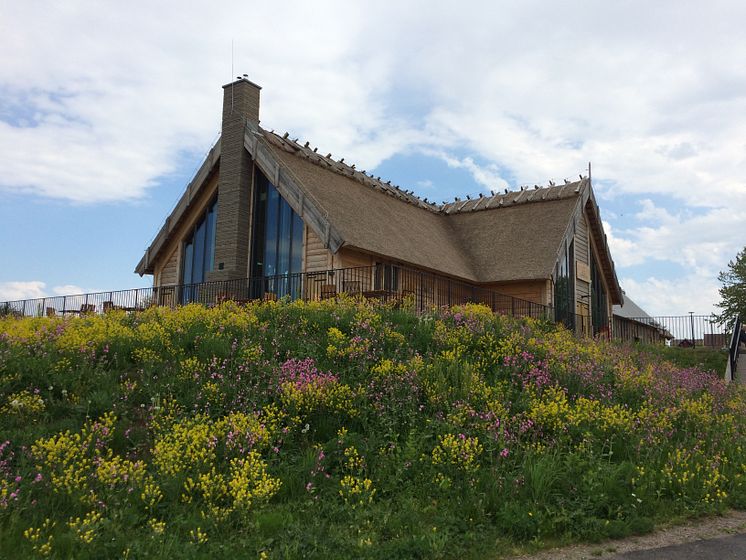 Café Doppingen, Hornborgasjön