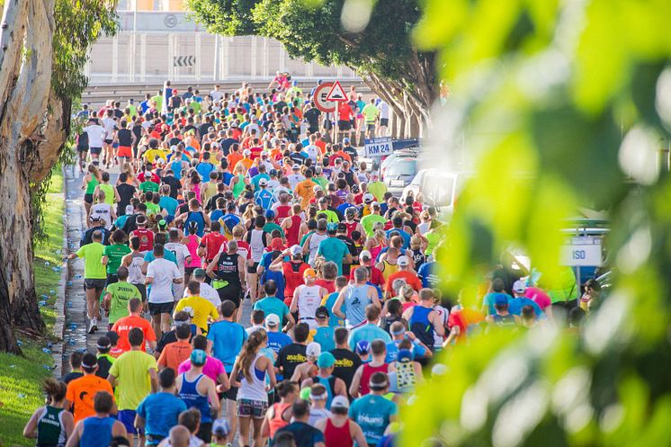 TUI Palma Marathon Mallorca_3.jpeg