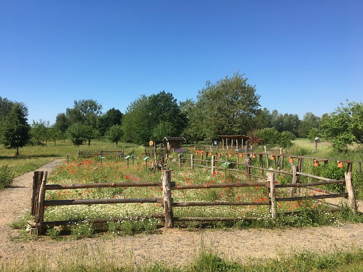 Garten_an_der_Blumberger_Mühle,_Foto_Anja_Warning_(CC_BY-NC-ND)