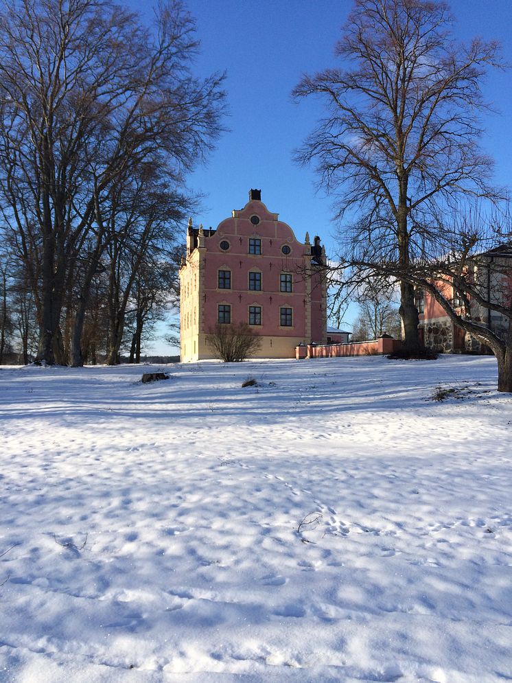 Skånelaholms slott