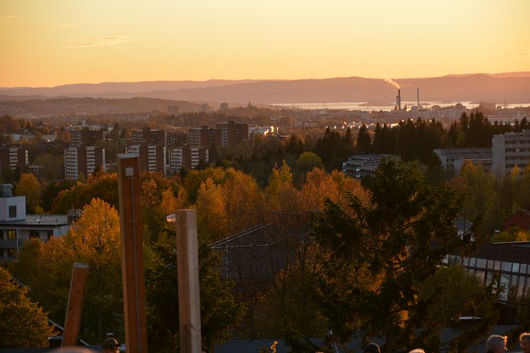 Høst - Stovnertårnet. Foto: Finn Skogstad