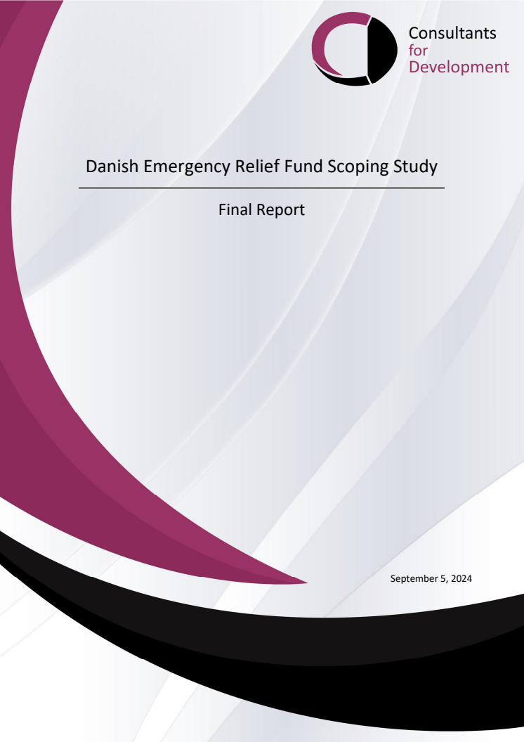 DERF Scoping Study Final Report 05 09 2024 (1).pdf