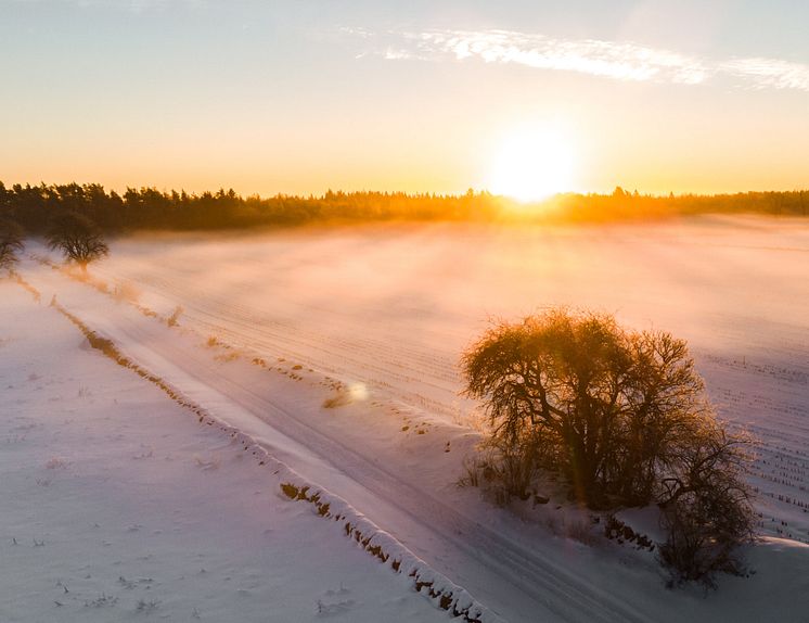 Törnbotten