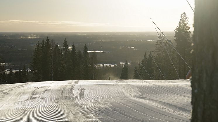 Kungsberget