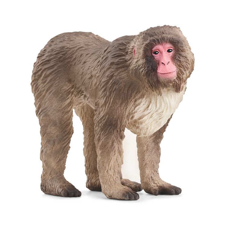 14871_Wild Life_Japanese Macaque (c)Schleich