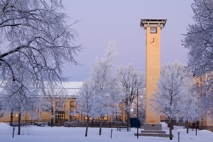 Ett snöigt campus på Högskolan i Skövde