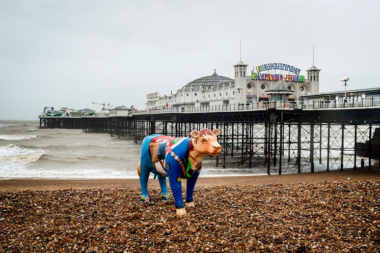 Cow-respondent travels on Thameslink